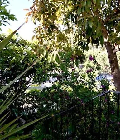 House Sea View Border *